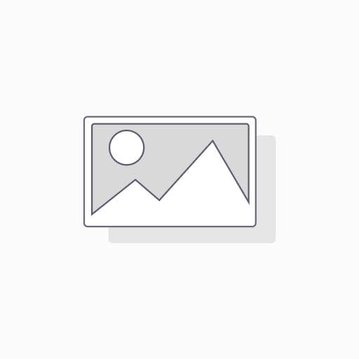 QGIS AVANZADO EN VIVO